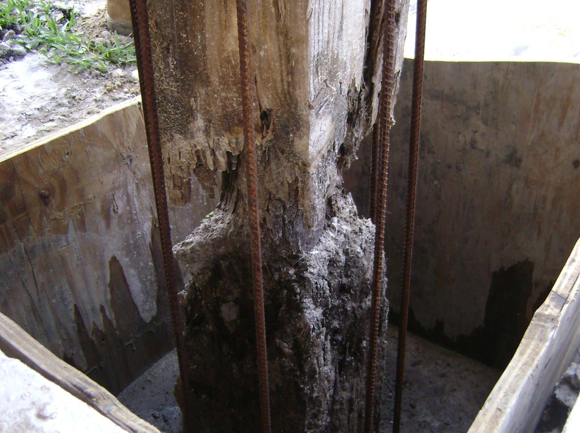 decayed piling